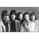 Hollies
