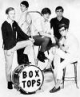 Box Tops