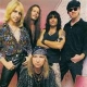 Great White