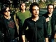 Wallflowers