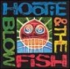 Hootie & the Blowfish