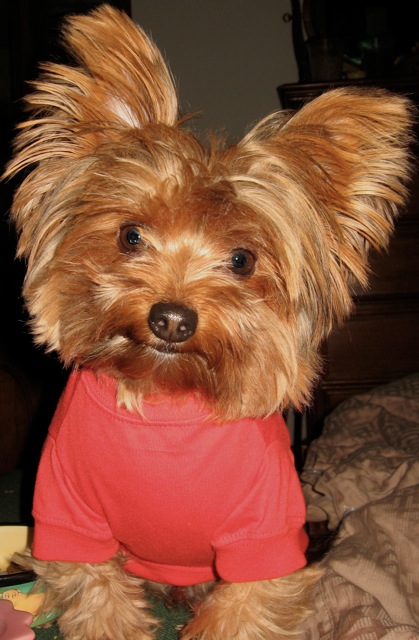 My little big man, Rocky!