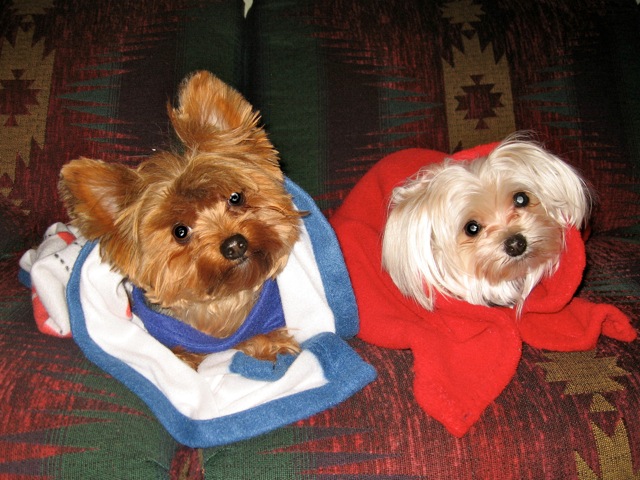 Rocky & Mia