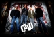 CAVO