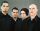 TAPROOT